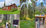 A Visit to Hyytiälä Forestry Station: Gaining Insight and Inspiration