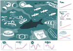 Diverse environmental cues drive the size of reproductive aggregation in a rheophilic fish